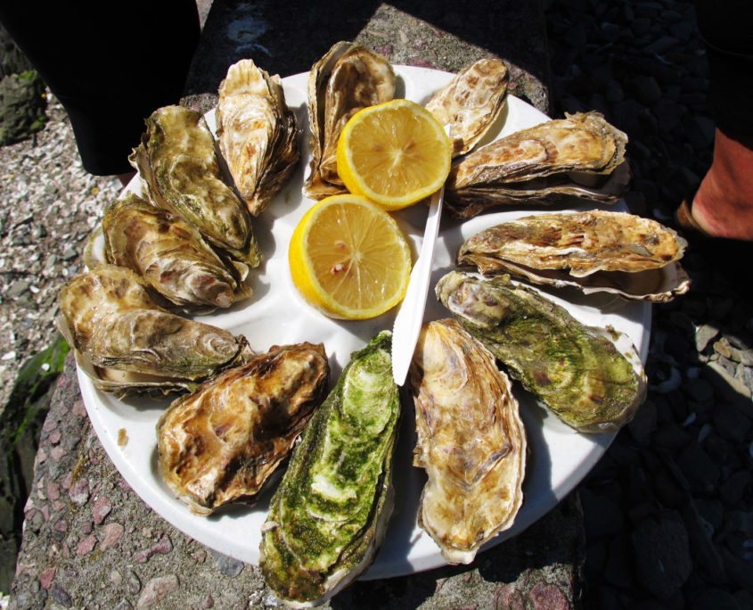 Degustation d'huîtres sur le port de Cancale