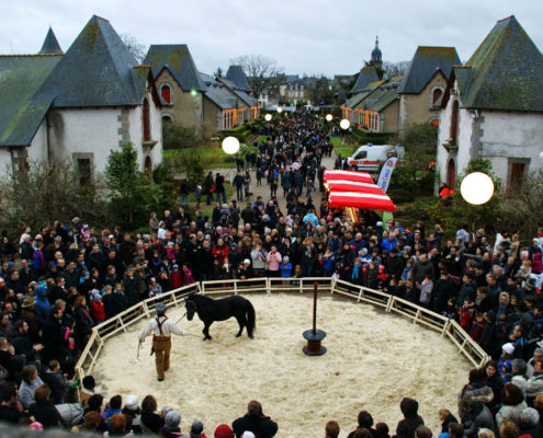 Le Marché de Noël des écuries de Lamballe