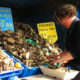 Le marché aux huîtres de Cancale