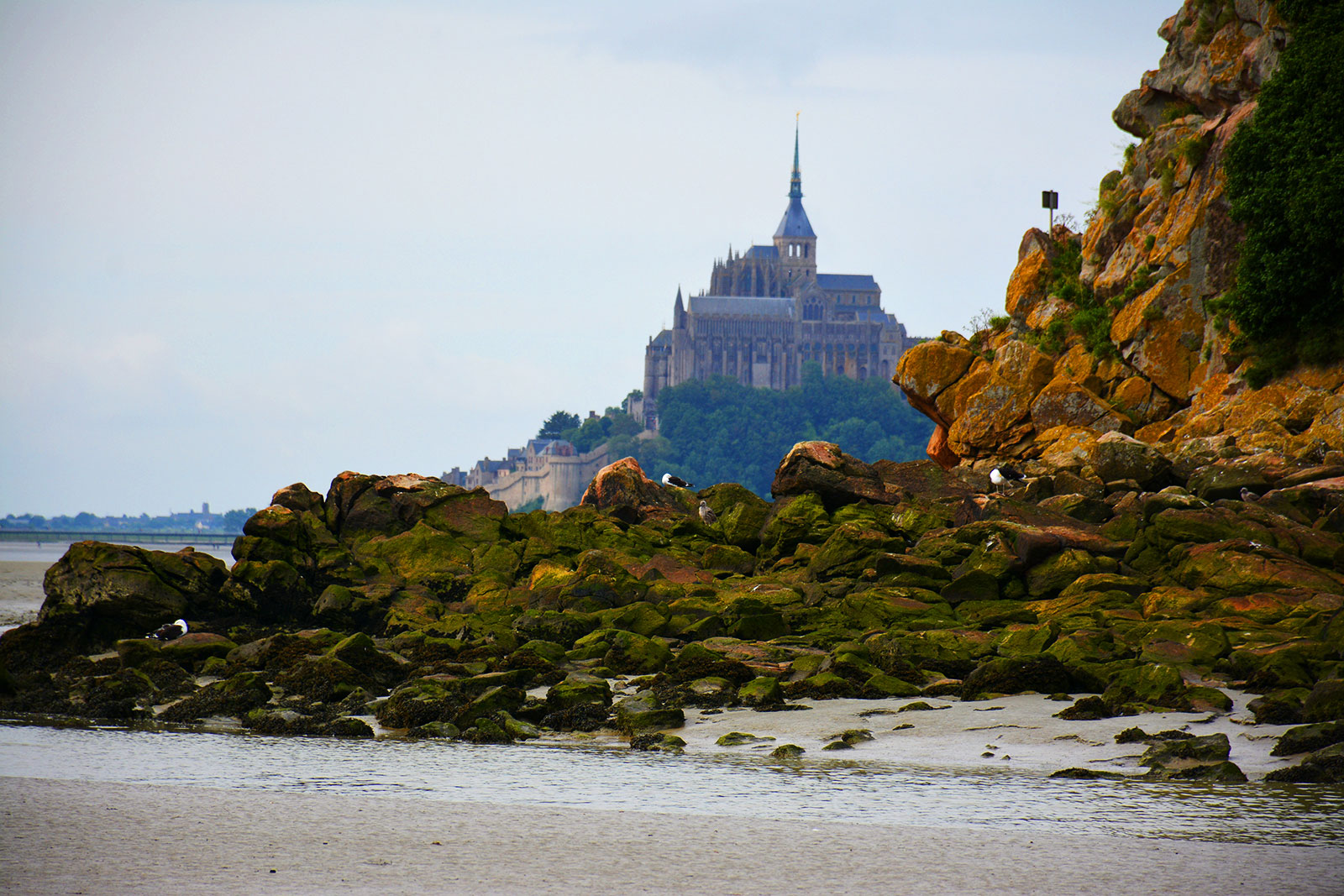 Le Mont-Saint-michel vu depuis le Mont Tomblaine