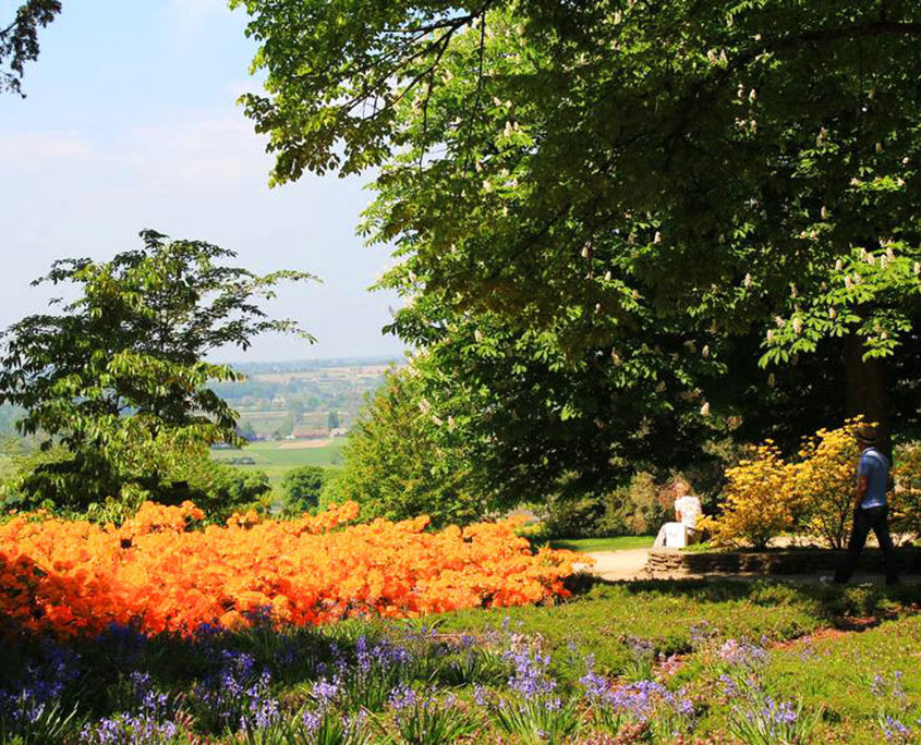 Le Jardin des Plantes d'Avranches