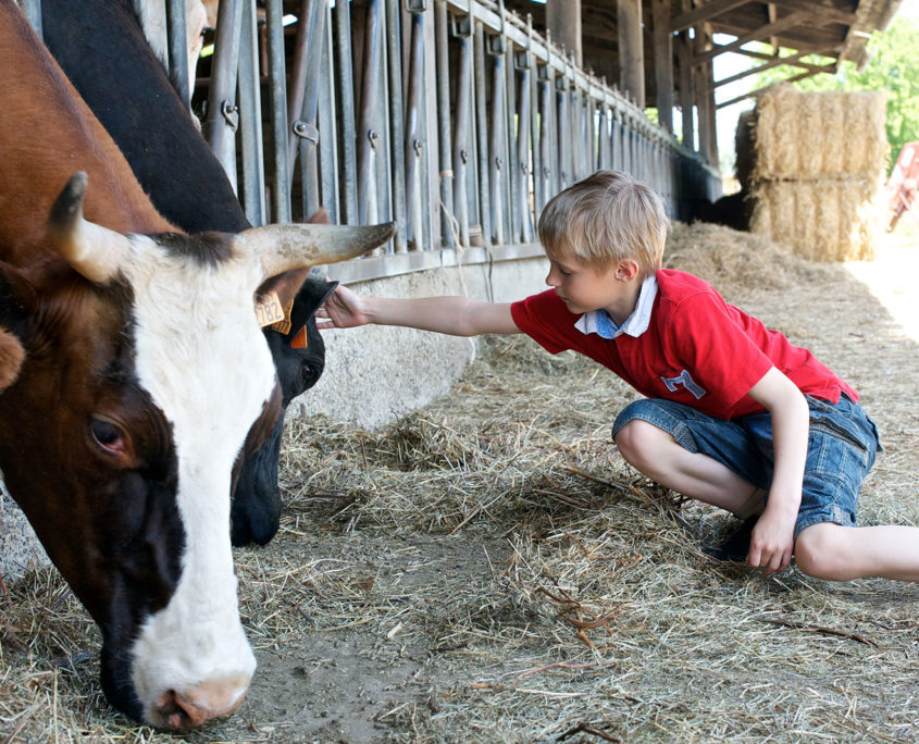 Visite d'une ferme pédagogique pour les enfants