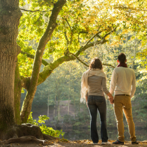 Balade en amoureux dans la Forêt de Brocéliande