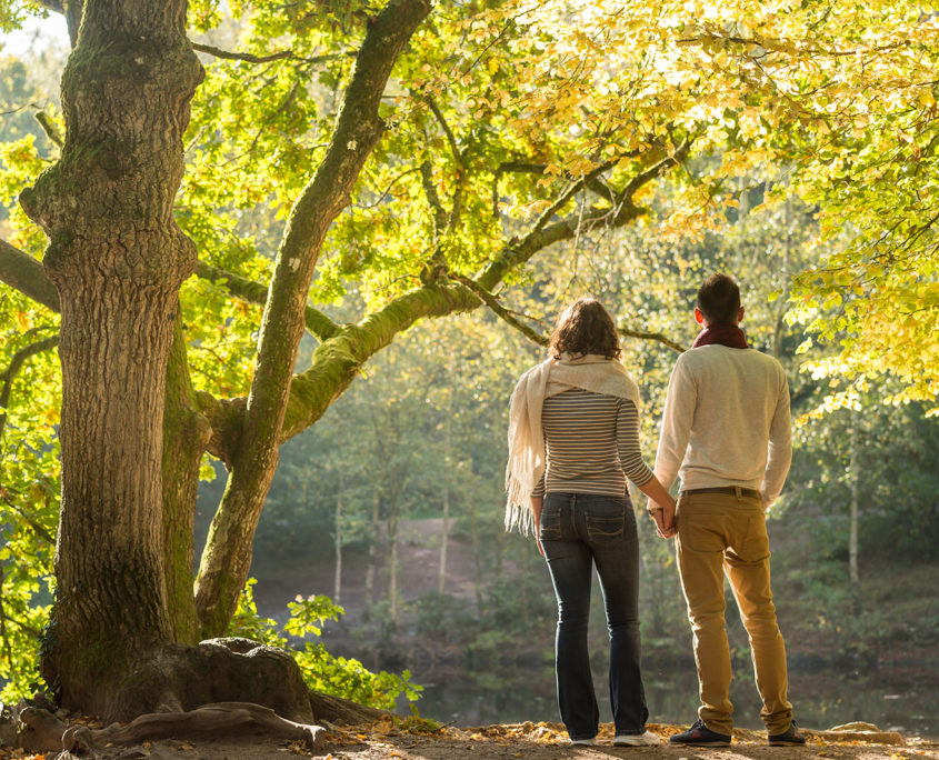 Balade en amoureux dans la Forêt de Brocéliande