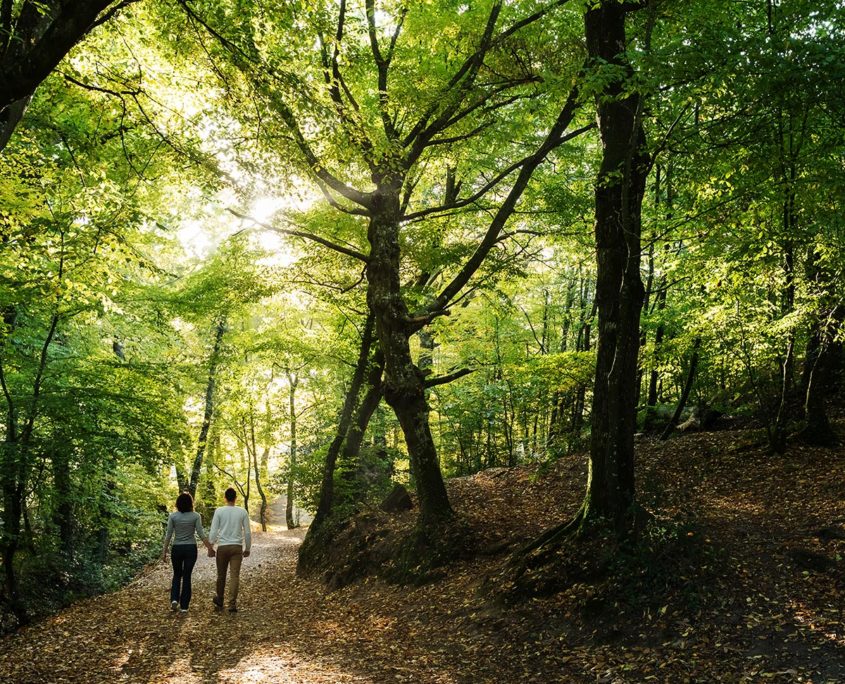 Balade en amoureux dans la Forêt de Brocéliande au Val sans retour