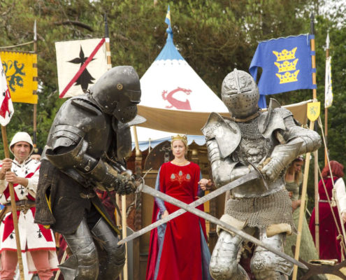 La Pentecote du Roi Arthur à Brocéliande pour la Fête de la Bretagne