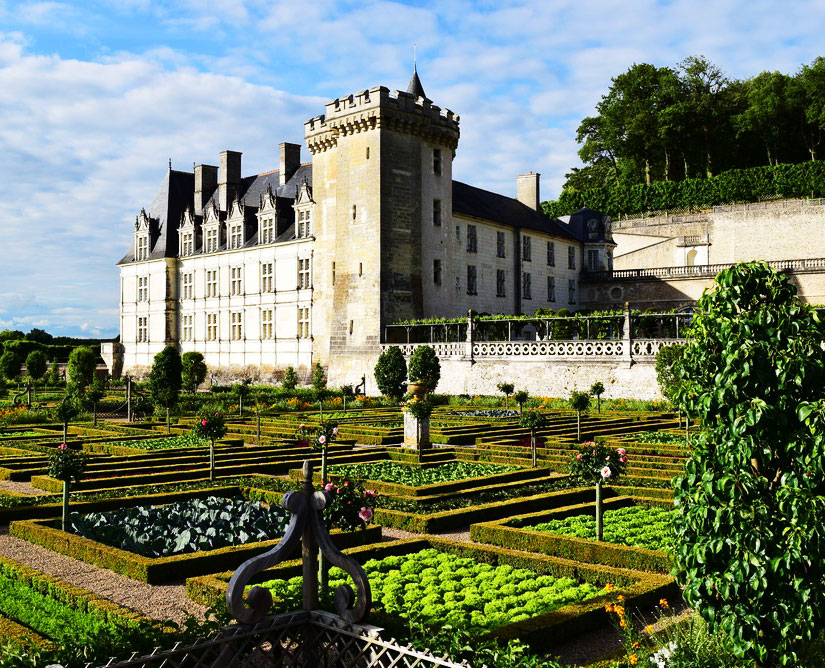 Le Château de Villandry et ses jardins