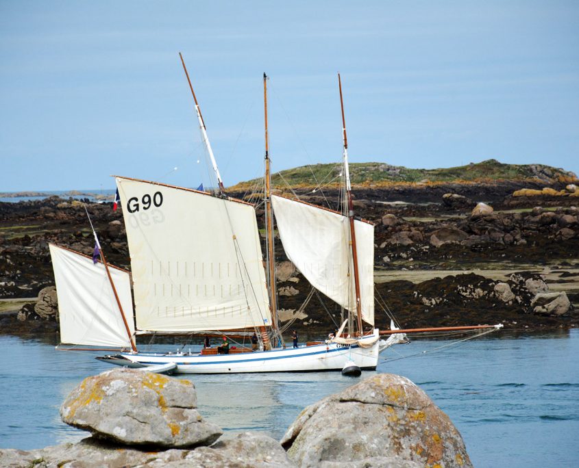 Balade en bateau aux îles Chausey