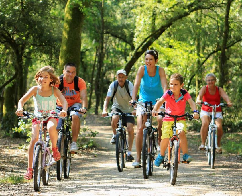 Balade à vélo en famille en forêt