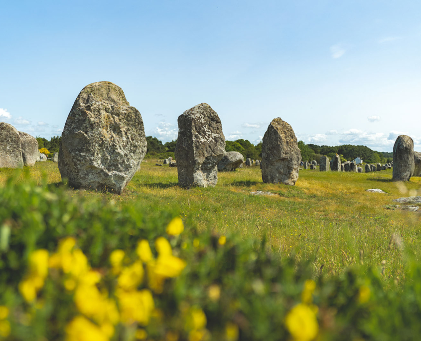 Alignements de Menhir de Menec